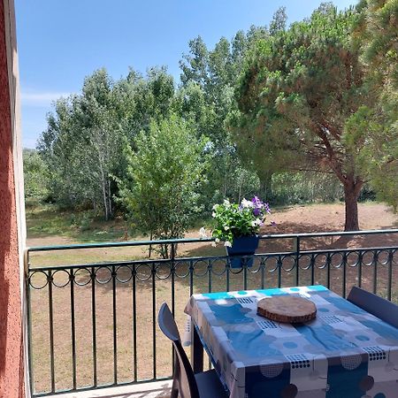 Aux Abords Du Lac Apartman Arles Kültér fotó