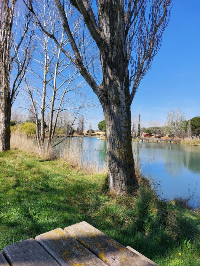 Aux Abords Du Lac Apartman Arles Kültér fotó